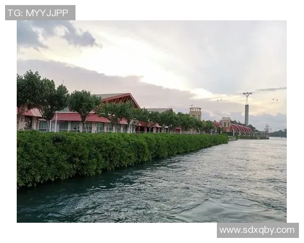 深圳飞盘队技术对比深度解析与其他队伍的优势与不足分析