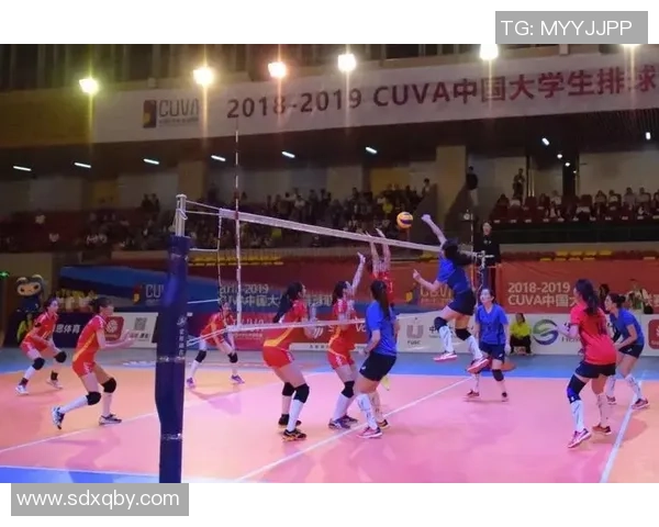 西安排球队运营革新全景解析与未来发展展望