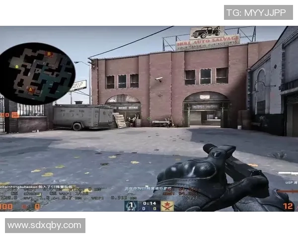 陈丽专访:从新手到高手的CSGO成长之路与心路历程回顾 陈丽专访:从新手到高手的CSGO成长之路与心路历程回顾