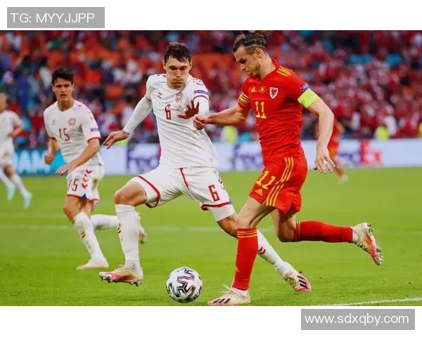 回顾1992年丹麦足球明星的辉煌历程与传奇瞬间 回顾1992年丹麦足球明星的辉煌历程与传奇瞬间