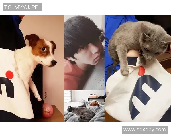 足球明星与猫猫的可爱互动视频让你心动不已快来一起欣赏吧 足球明星与猫猫的可爱互动视频让你心动不已快来一起欣赏吧